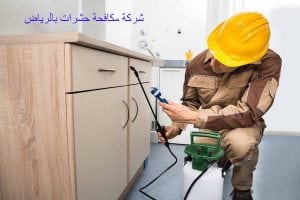 شركة مكافحة حشرات بالرياض