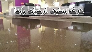 افضل شركة تنظيف بابها شركة نظافة بابها شركة تنظيف شقق بابها شركة تنظيف منازل بابها شركة تنظيف فلل بابها شركة تنظيف كنب بابها شركة تنظيف مجالس بابها شركة تنظيف موكيت بابها 
